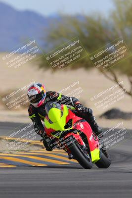 media/Nov-05-2022-SoCal Trackdays (Sat) [[f8d9b725ab]]/Turn 4 Tree of Life (125pm)/